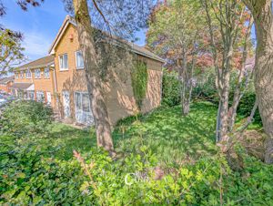 Corner Plot- click for photo gallery